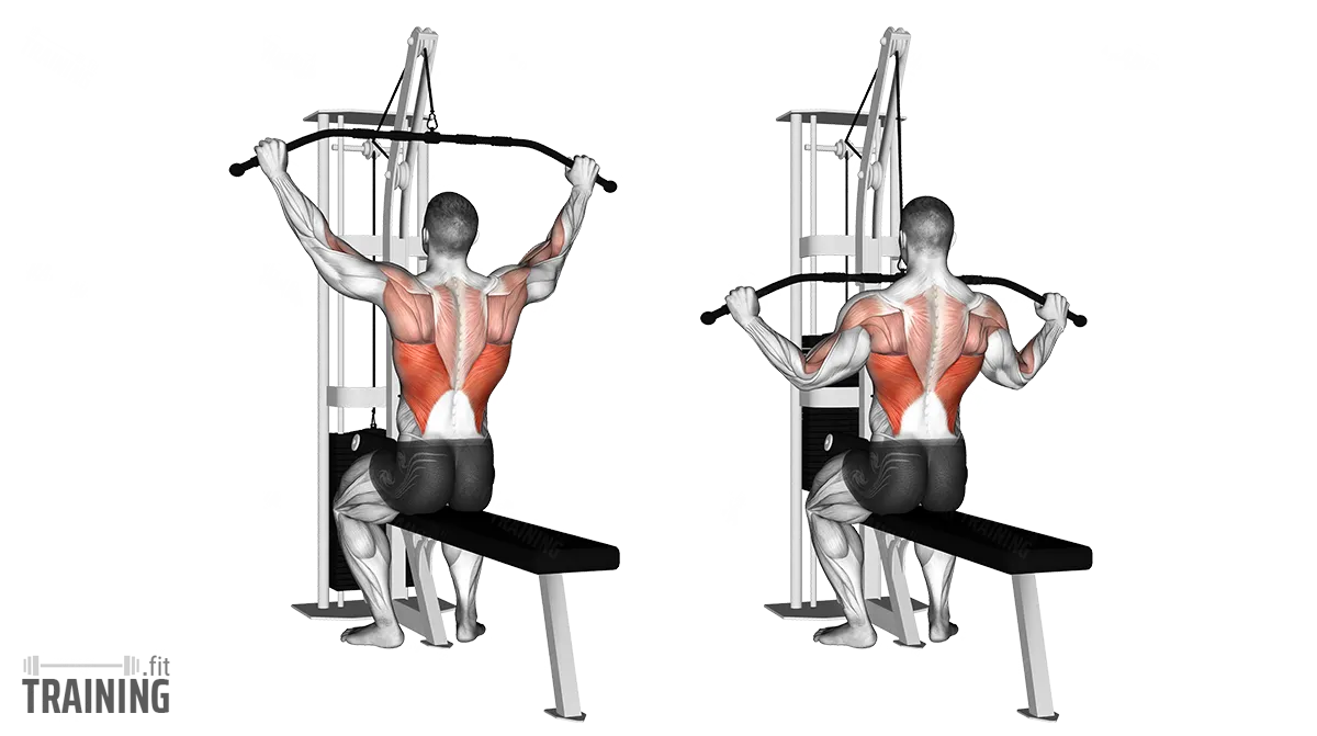 Lat Pulldown