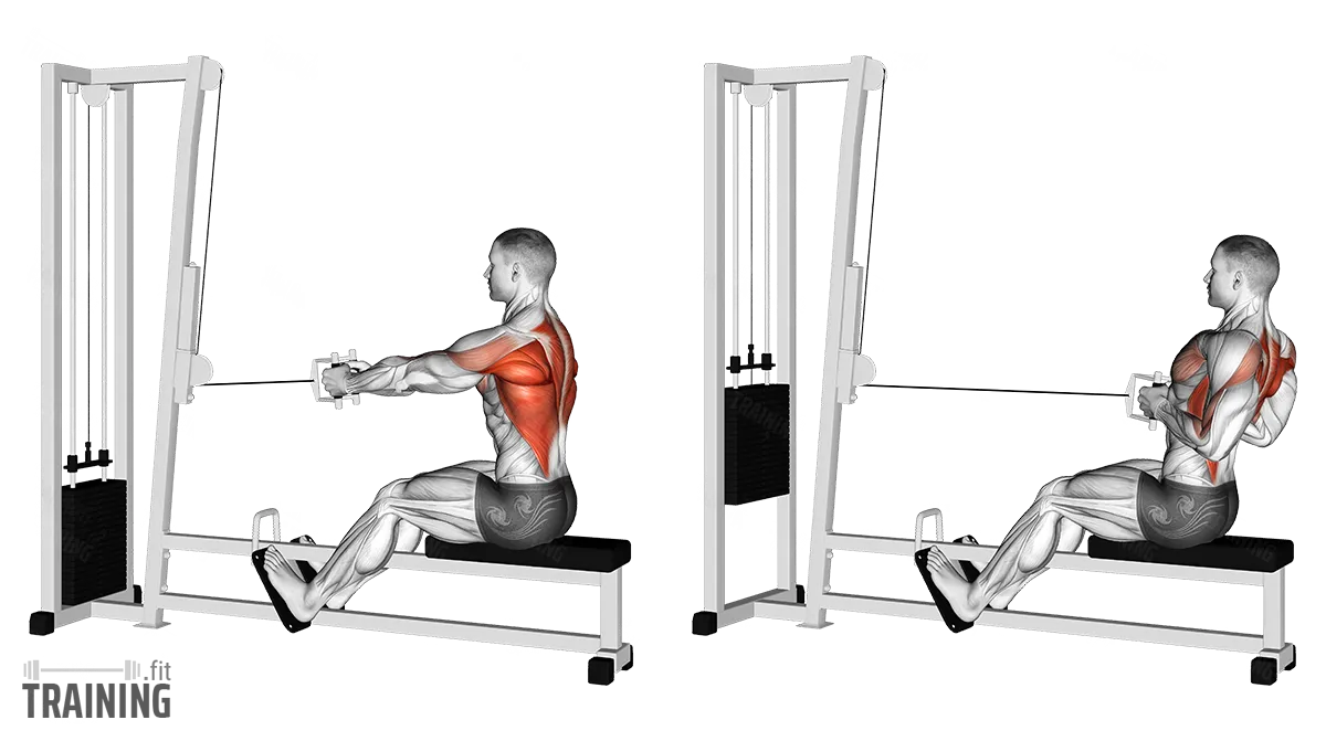 Seated Cable Row